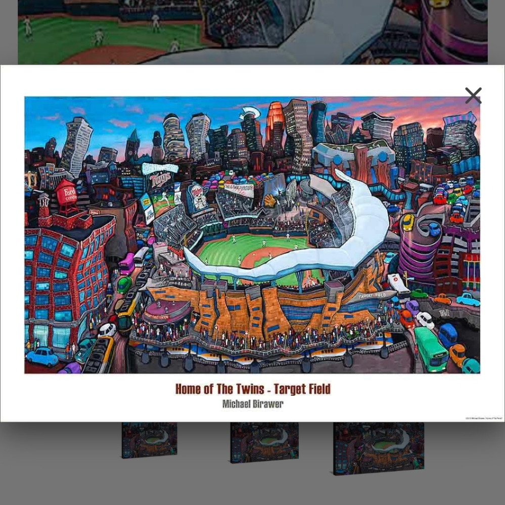 NIB MN Twins Target Field art print